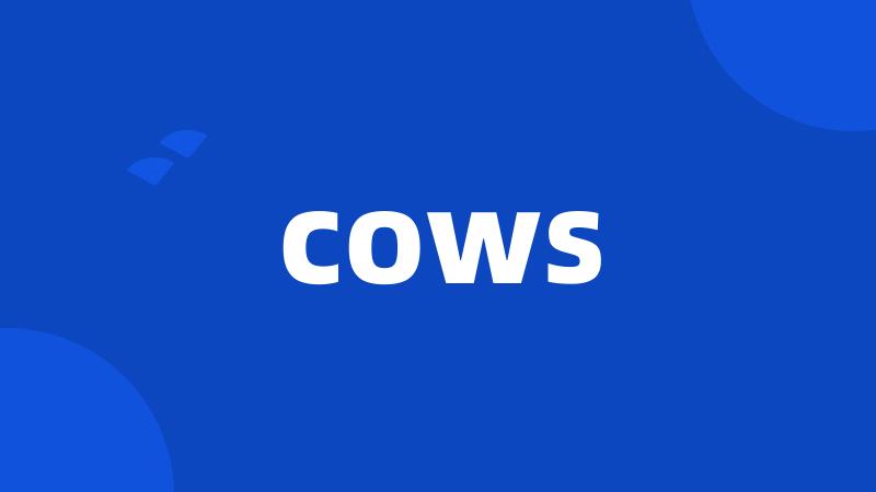 cows