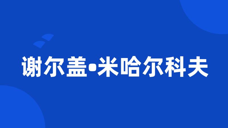 谢尔盖•米哈尔科夫