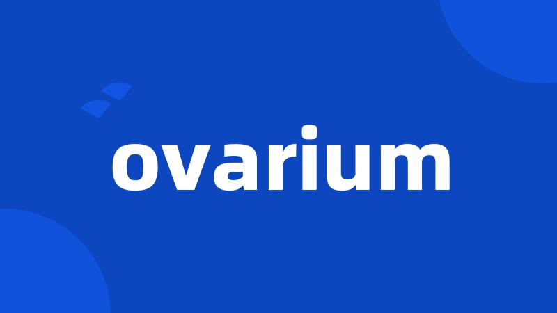 ovarium