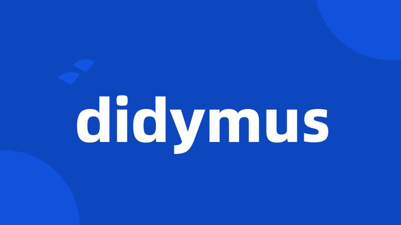 didymus