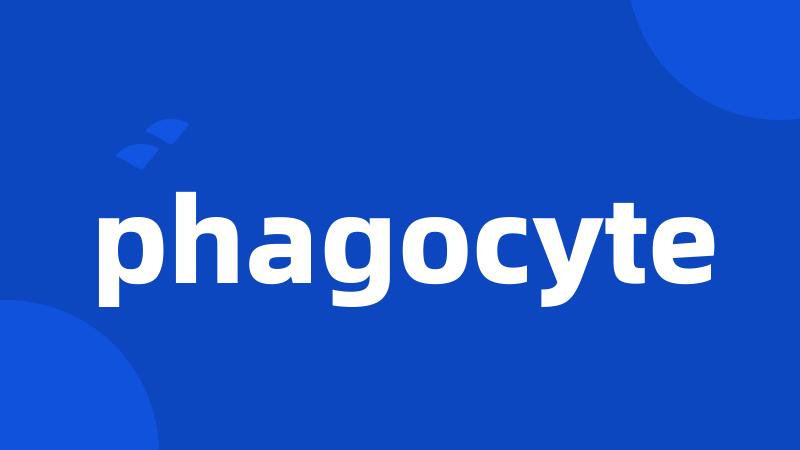 phagocyte