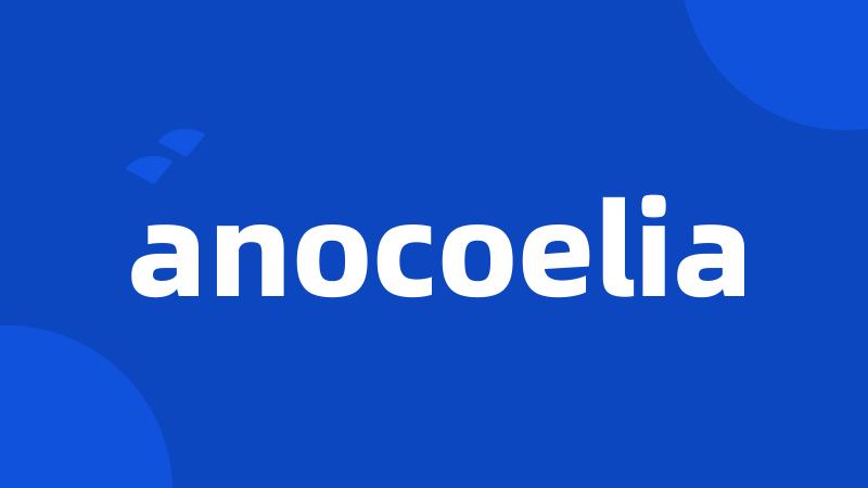 anocoelia