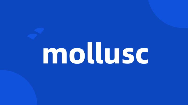 mollusc