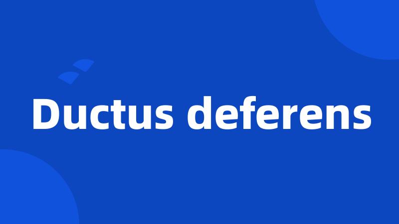 Ductus deferens