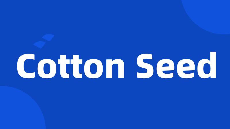 Cotton Seed