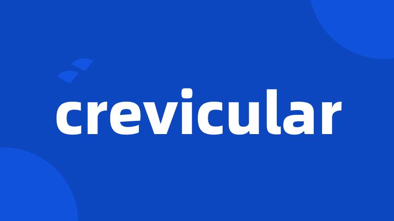 crevicular