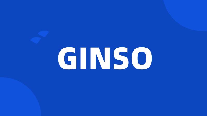 GINSO