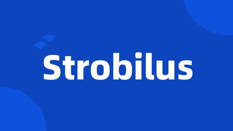 Strobilus