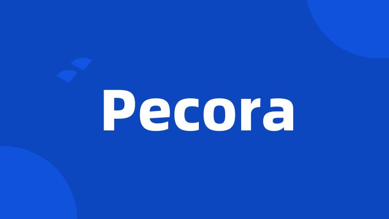 Pecora