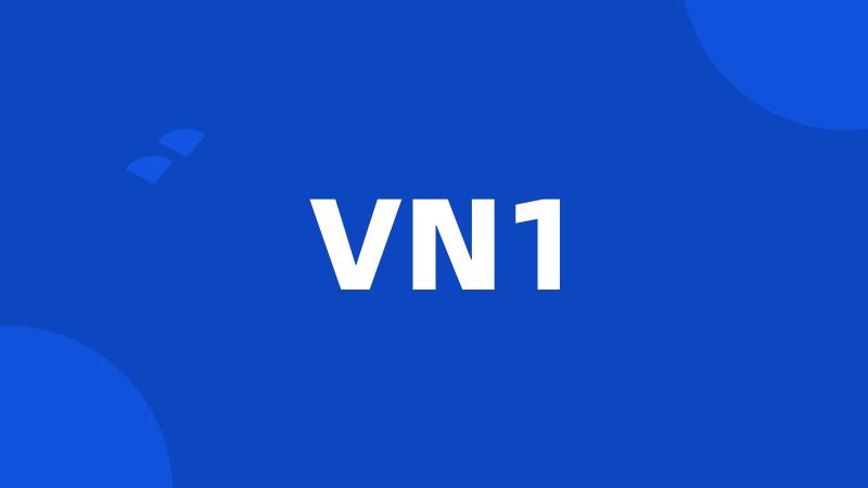 VN1