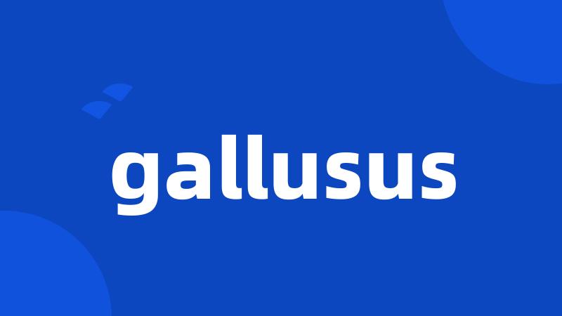 gallusus