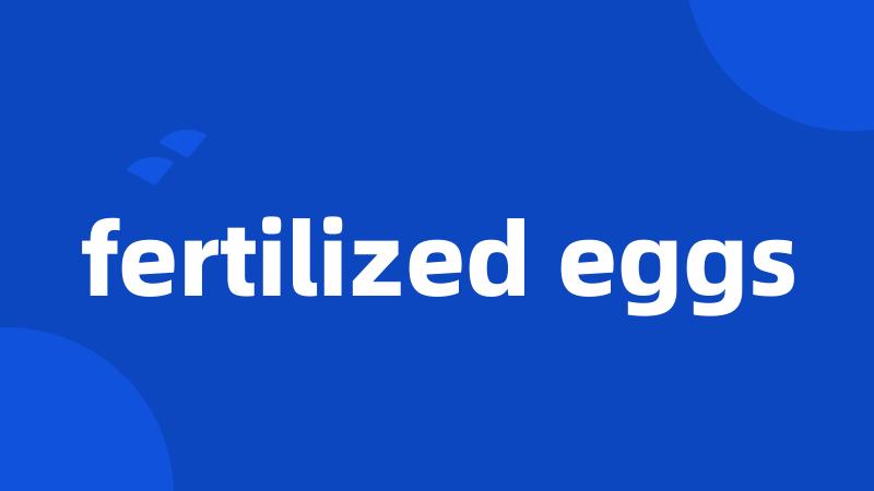 fertilized eggs