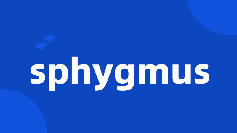 sphygmus