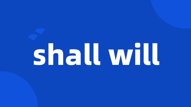 shall will