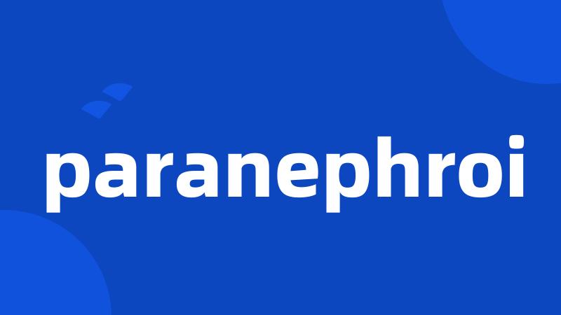 paranephroi