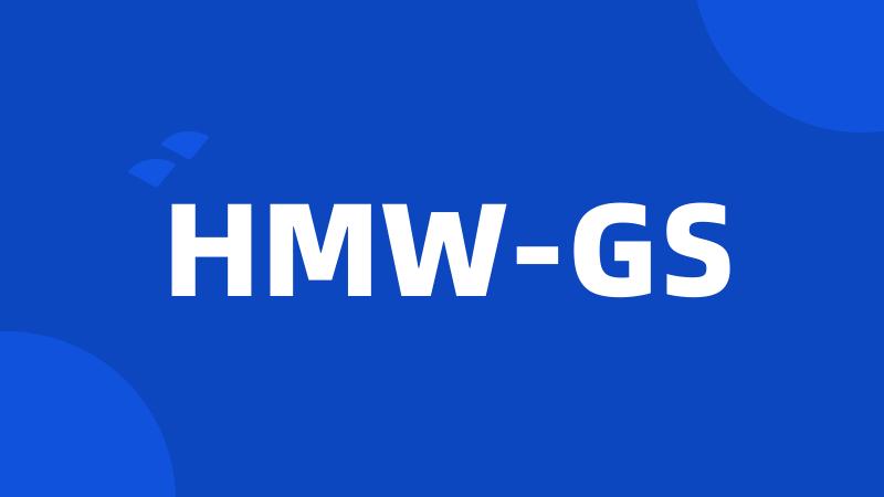 HMW-GS