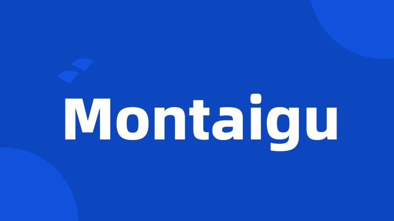 Montaigu
