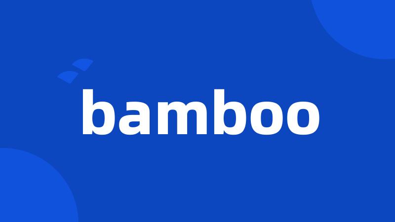 bamboo