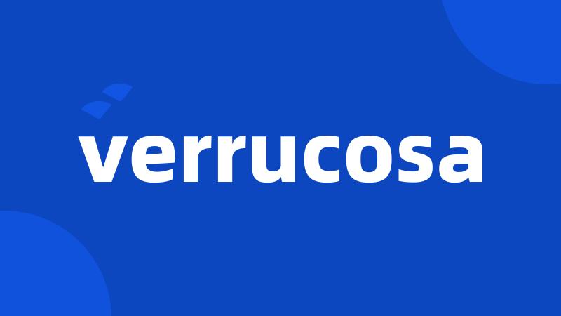 verrucosa