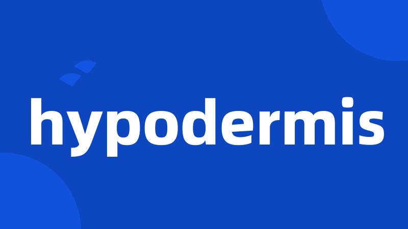 hypodermis