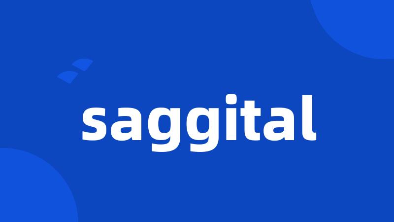 saggital