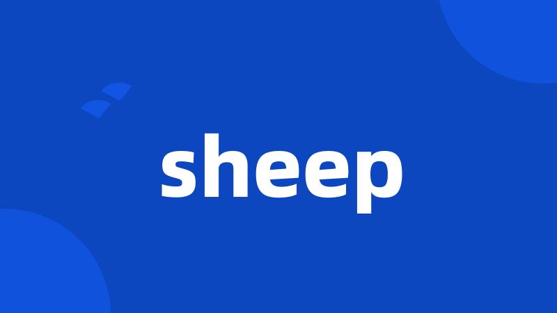 sheep