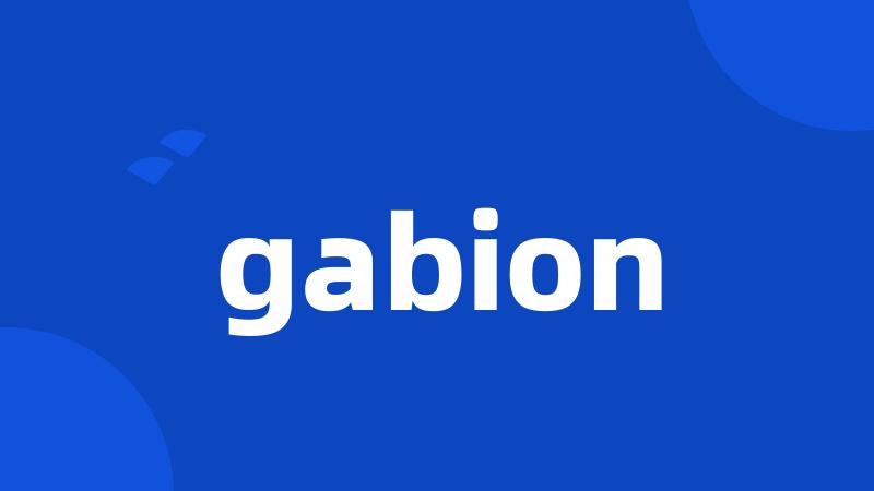 gabion