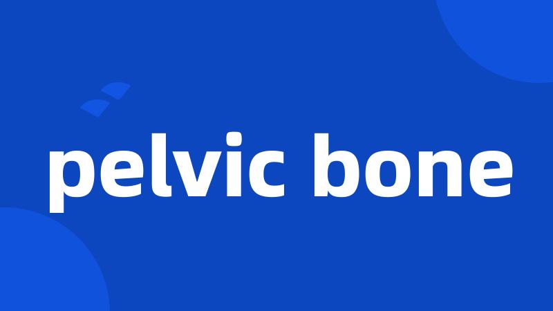 pelvic bone