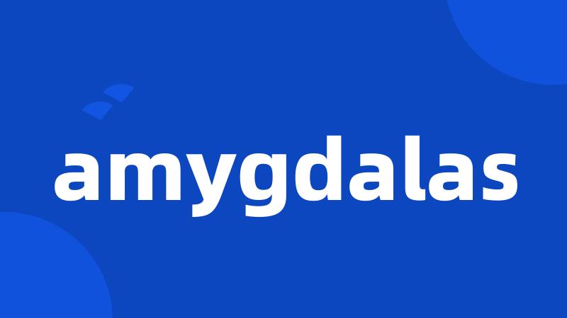 amygdalas