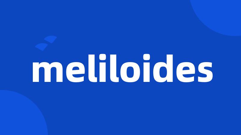 meliloides