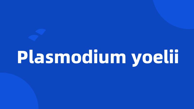 Plasmodium yoelii