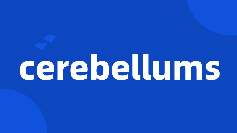 cerebellums