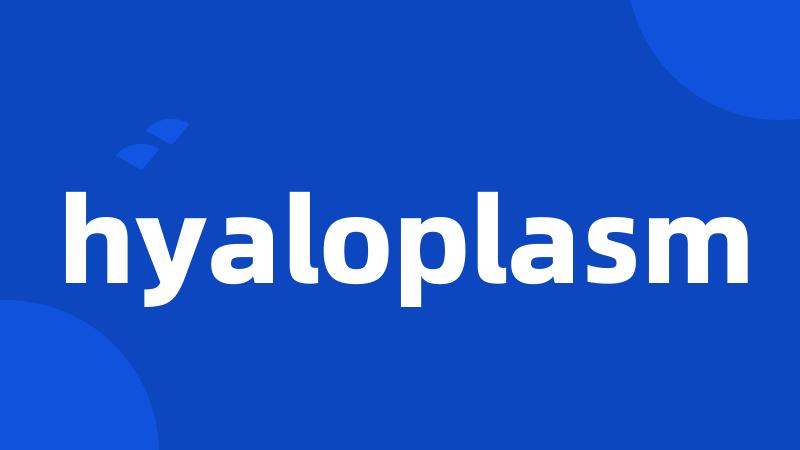 hyaloplasm