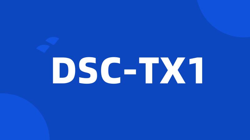 DSC-TX1