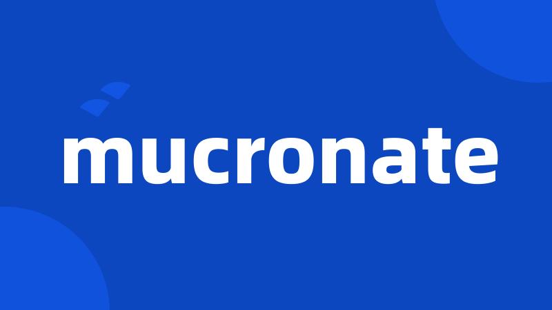 mucronate