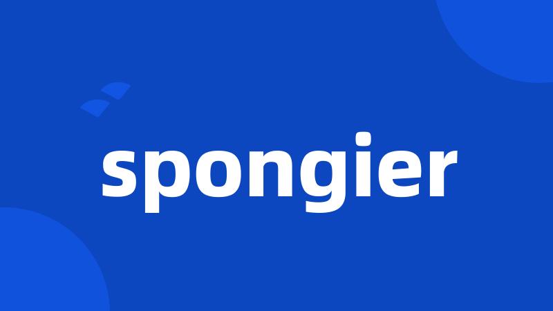 spongier