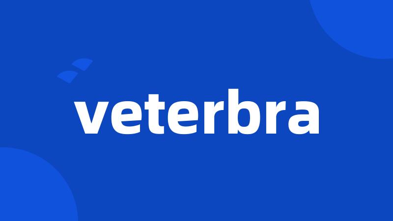 veterbra