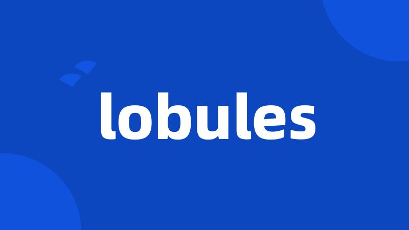 lobules