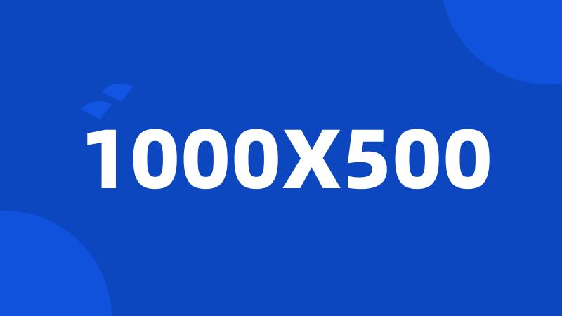 1000X500