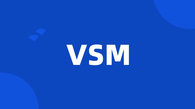 VSM