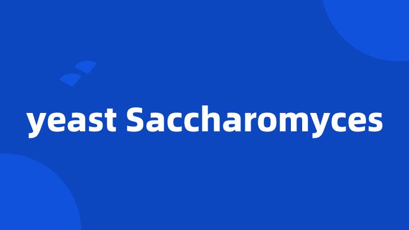 yeast Saccharomyces