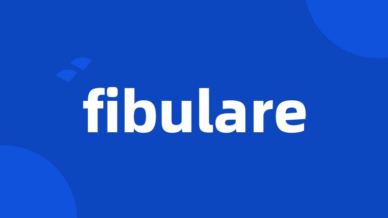 fibulare