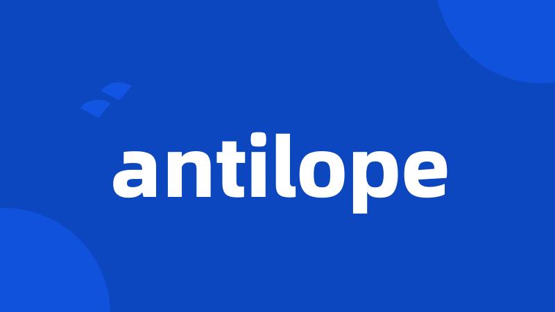 antilope