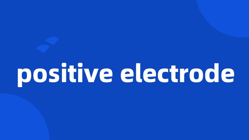 positive electrode