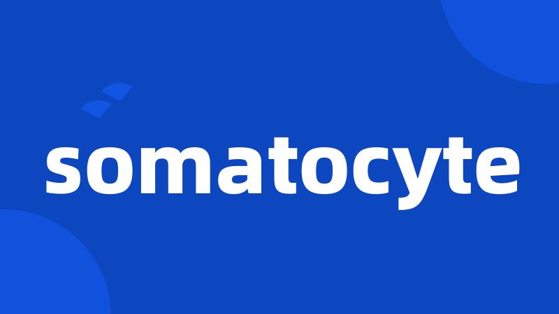 somatocyte