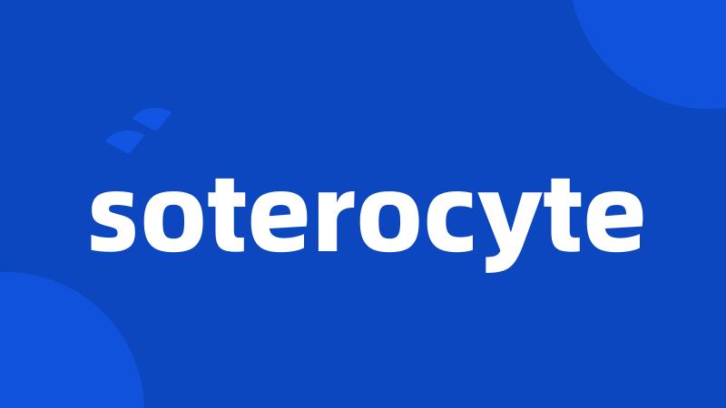 soterocyte