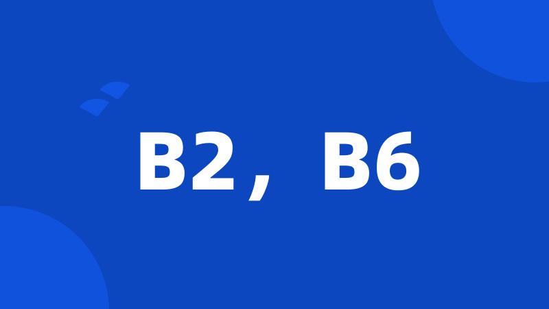 B2，B6