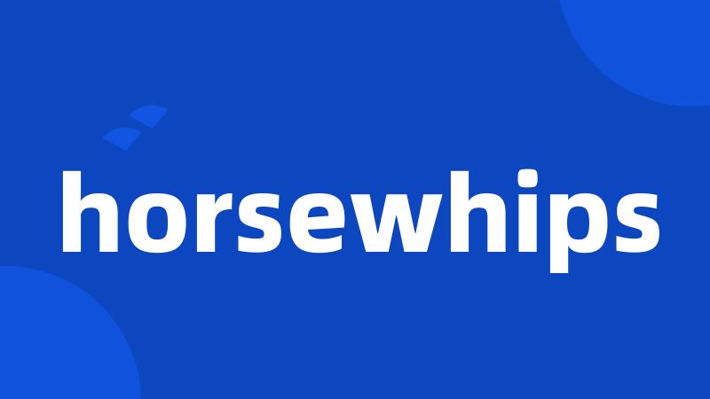 horsewhips