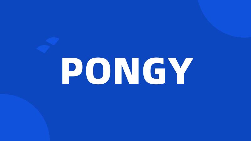 PONGY