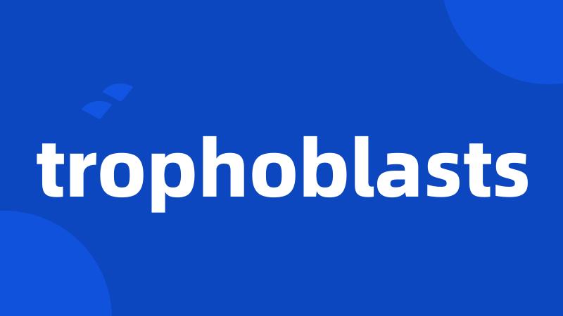 trophoblasts